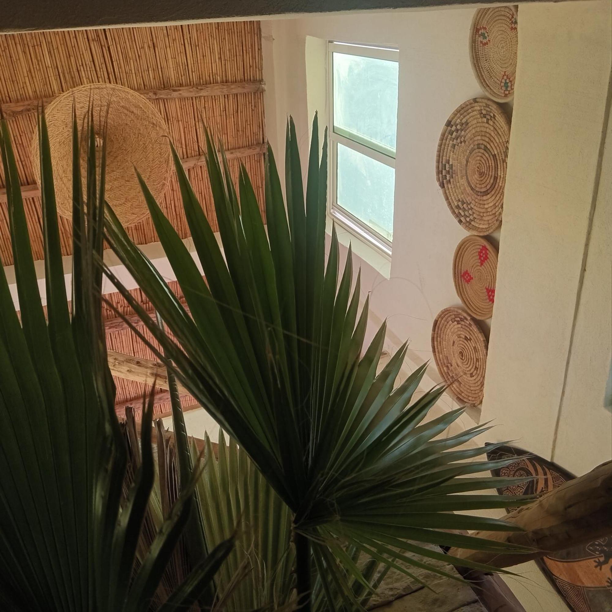 Moroccan Boho Surf House アガディール エクステリア 写真