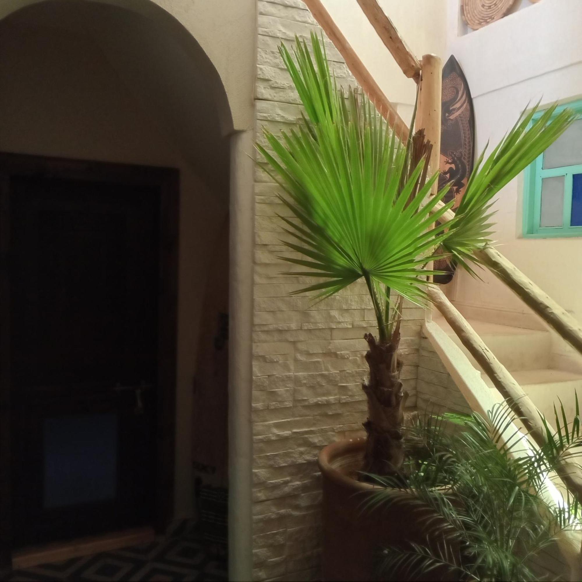 Moroccan Boho Surf House アガディール エクステリア 写真